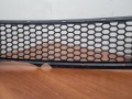 Решетка в бампер Fiat Albea 2002-2012