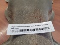 Экран тепловой средняя часть Daewoo Leganza 1997-2002