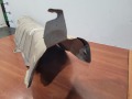 Экран тепловой под кулисой МКПП Nissan Tiida C11 2004-2014