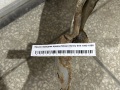 Крыло переднее правое Nissan Sunny B14 1993-1998