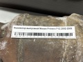 Коллектор выпускной Nissan Primera P12 2002-2008