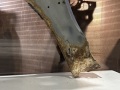 Крыло переднее правое Mitsubishi Diamante I 1990-1997