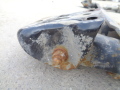 Кронштей задней балки левый CHERY Amulet (A15) 2006-2012(A113301021)
