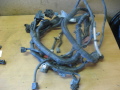 Проводка коса (моторная) Nissan Tiida (C11) 2007-2014 (24011EM01B)
