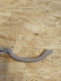 Ручка внутренняя потолочная (потолка салона) NISSAN Primera P11 1996-2002