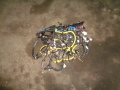 Проводка коса салона Hyundai i10 2007-2013(911120X720)