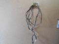 Проводка коса крыши CHEVROLET Lacetti  (J200)(96613949)