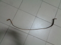 Лента крепления бензобака Chery Amulet (A15) 2006-2012