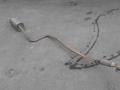 Глушитель основной Ford Fiesta 01-08, Седан (1141303)