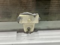 Стекло двери переднее правое Nissan Primera P12 2002-2008