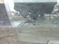Стекло двери передней правое Chery Amulet (A15) 2006-2012(A115203112AB)